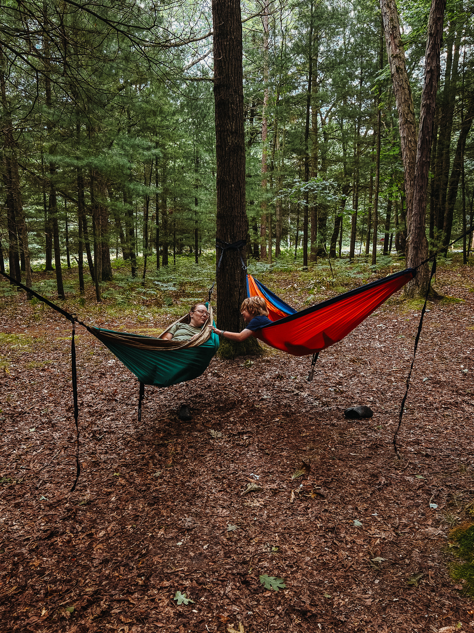 Child lying in a red hammock strung between tall pines with sun beams through the canopy