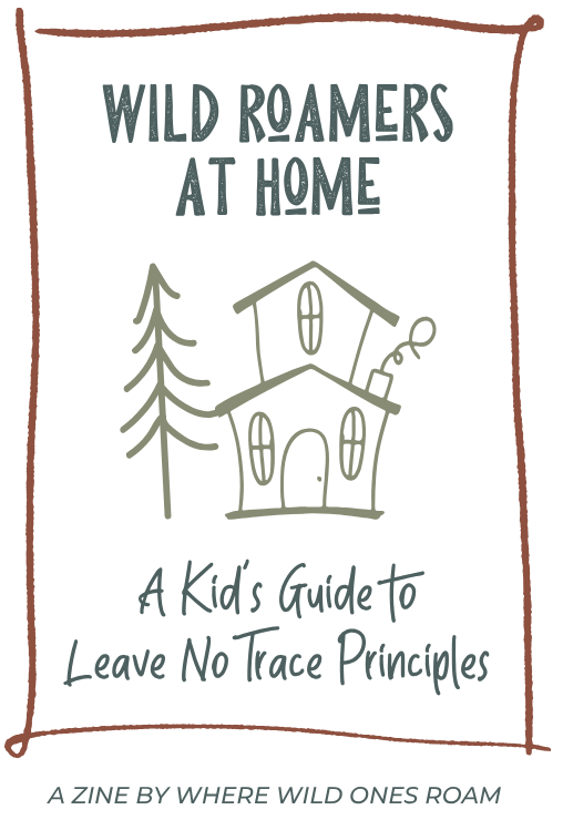The Wild Roamer at Home zine cover